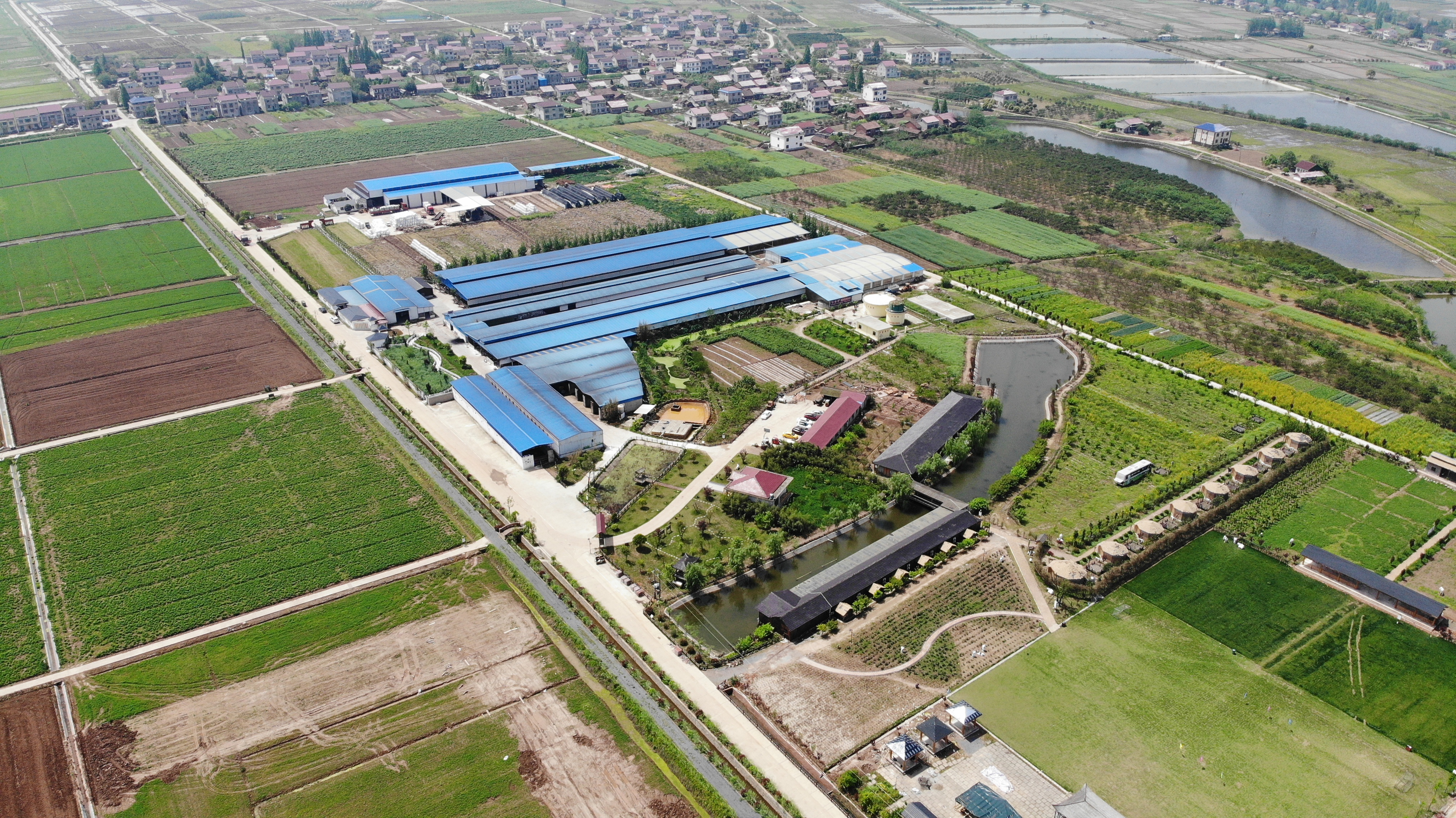 奶牛養(yǎng)殖場俯瞰圖